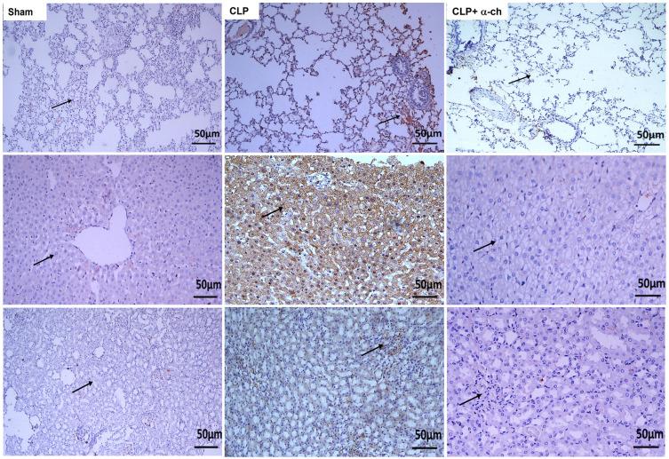https://cdn.ncbi.nlm.nih.gov/pmc/blobs/6150/9467300/3271fbe1d889/DDDT-16-3023-g0008.jpg