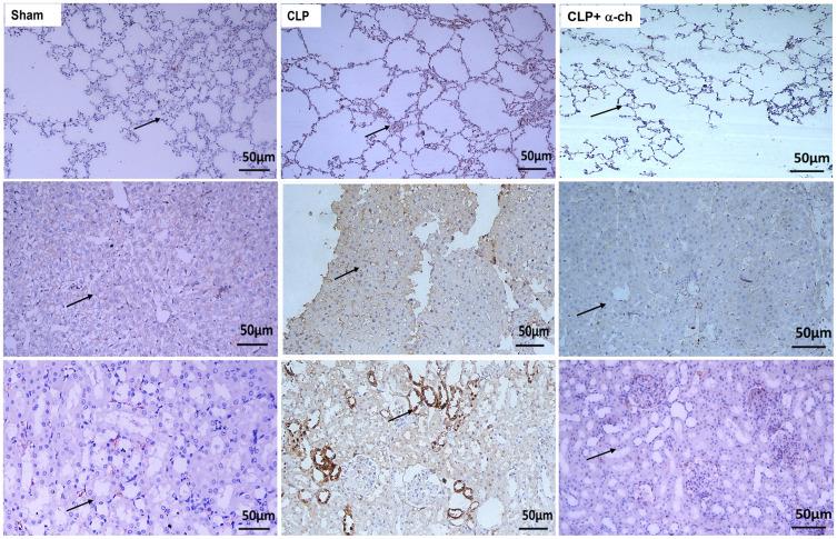 https://cdn.ncbi.nlm.nih.gov/pmc/blobs/6150/9467300/4c909161b5e5/DDDT-16-3023-g0007.jpg