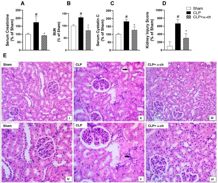 https://cdn.ncbi.nlm.nih.gov/pmc/blobs/6150/9467300/4f8edeb21b5a/DDDT-16-3023-g0004.jpg