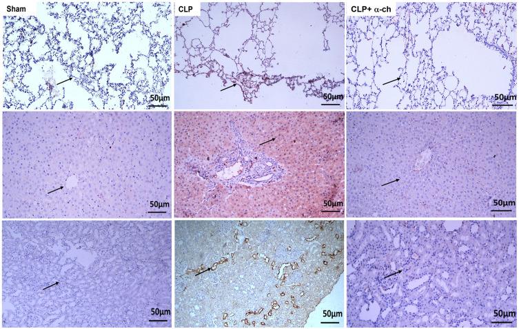 https://cdn.ncbi.nlm.nih.gov/pmc/blobs/6150/9467300/e74ef95f6e50/DDDT-16-3023-g0005.jpg