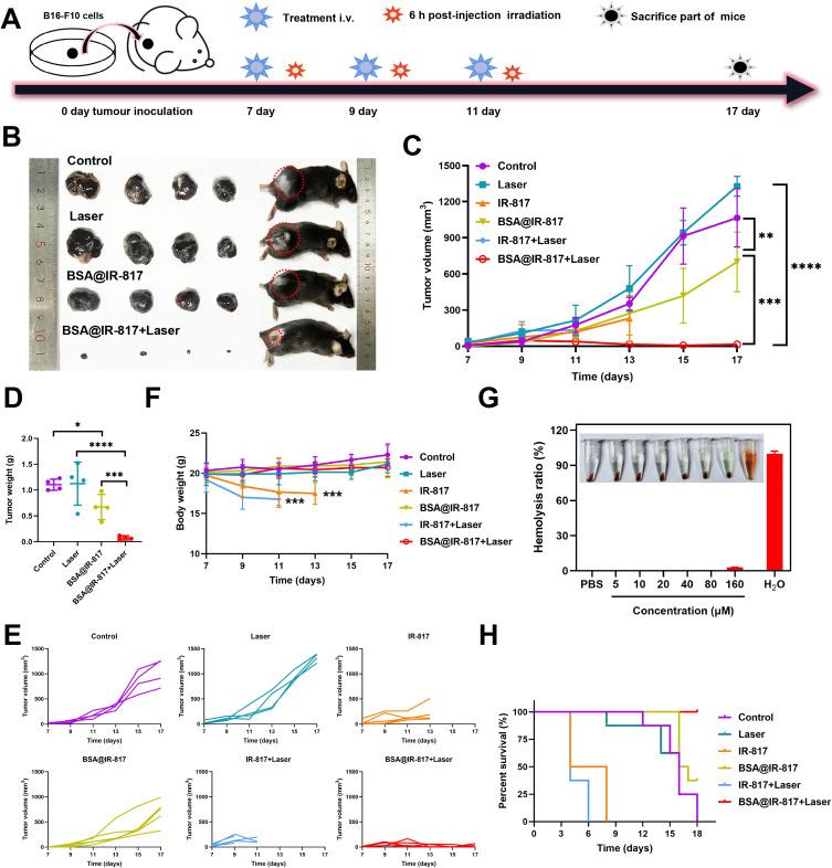 https://cdn.ncbi.nlm.nih.gov/pmc/blobs/6151/10488832/39175cd0ce9e/IJN-18-4949-g0007.jpg