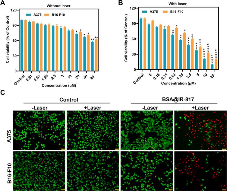 https://cdn.ncbi.nlm.nih.gov/pmc/blobs/6151/10488832/456841fafbcb/IJN-18-4949-g0006.jpg