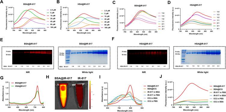 https://cdn.ncbi.nlm.nih.gov/pmc/blobs/6151/10488832/671809dc3801/IJN-18-4949-g0002.jpg