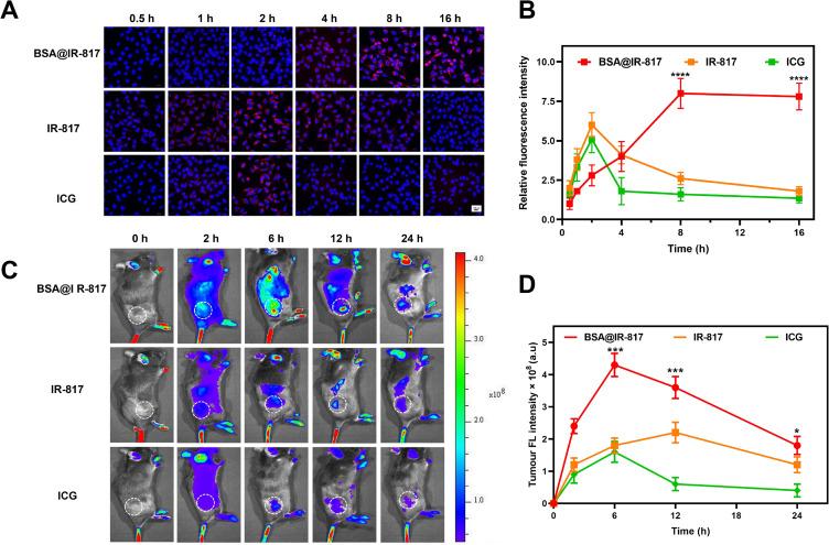 https://cdn.ncbi.nlm.nih.gov/pmc/blobs/6151/10488832/82ae249d073d/IJN-18-4949-g0004.jpg