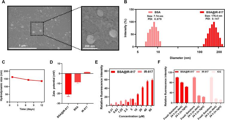 https://cdn.ncbi.nlm.nih.gov/pmc/blobs/6151/10488832/f01a555fd430/IJN-18-4949-g0003.jpg