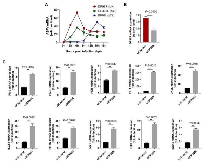https://cdn.ncbi.nlm.nih.gov/pmc/blobs/6152/10889005/3a5b85c05b2d/ijms-25-02099-g007.jpg