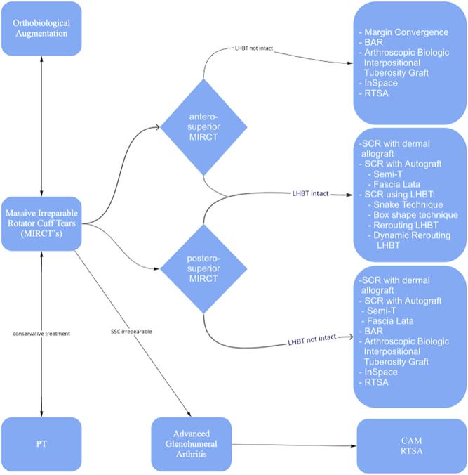https://cdn.ncbi.nlm.nih.gov/pmc/blobs/6153/9969010/fa50526ca03d/EOR-22-0015fig2.jpg