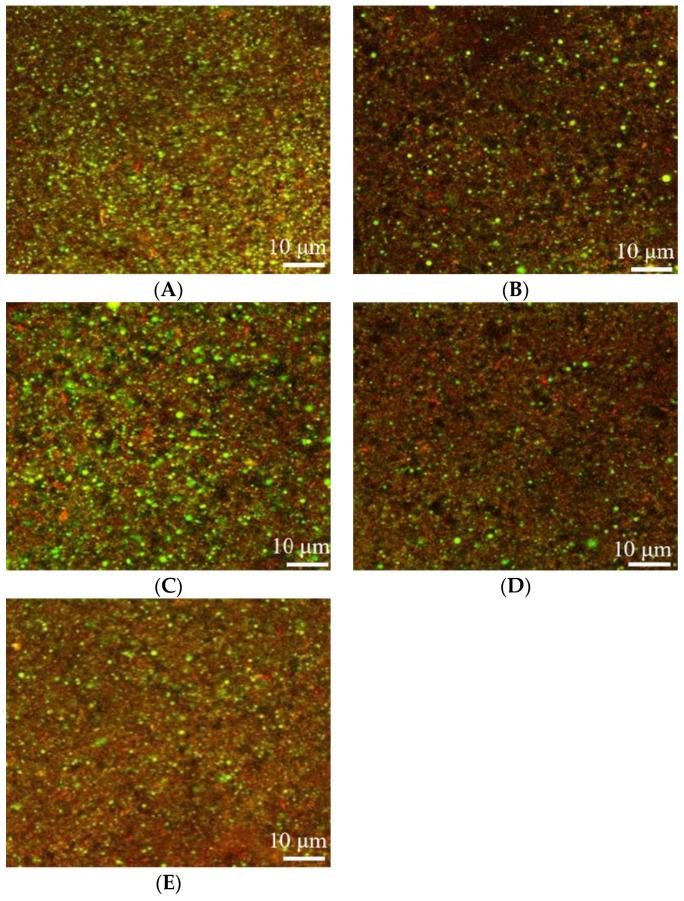 https://cdn.ncbi.nlm.nih.gov/pmc/blobs/6154/10096348/1f1d88272533/molecules-28-03067-g004.jpg