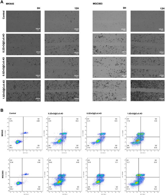 https://cdn.ncbi.nlm.nih.gov/pmc/blobs/6154/12206361/4272f696de8e/12935_2025_3874_Fig5_HTML.jpg