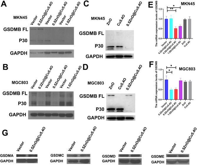 https://cdn.ncbi.nlm.nih.gov/pmc/blobs/6154/12206361/7449a610524c/12935_2025_3874_Fig3_HTML.jpg
