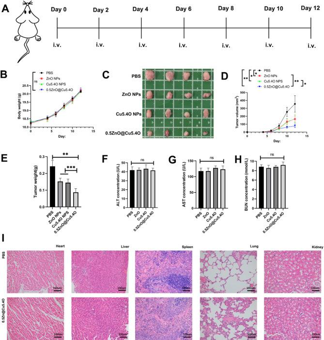 https://cdn.ncbi.nlm.nih.gov/pmc/blobs/6154/12206361/8e1c3662634c/12935_2025_3874_Fig6_HTML.jpg