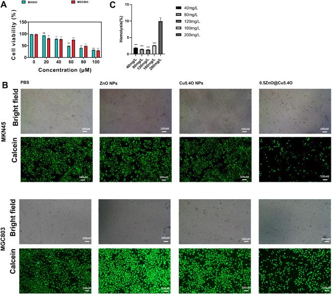 https://cdn.ncbi.nlm.nih.gov/pmc/blobs/6154/12206361/de7188a41dbc/12935_2025_3874_Fig4_HTML.jpg
