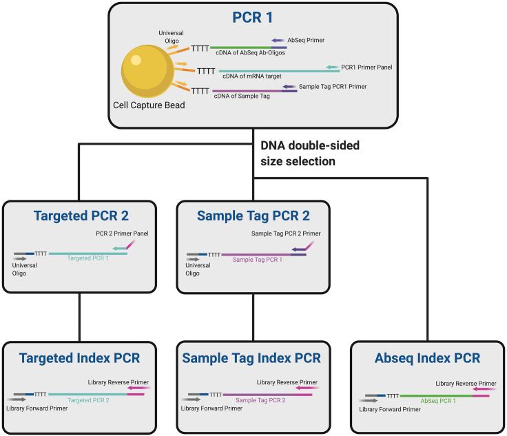 https://cdn.ncbi.nlm.nih.gov/pmc/blobs/6154/7580098/32651fda6a8e/gr7.jpg