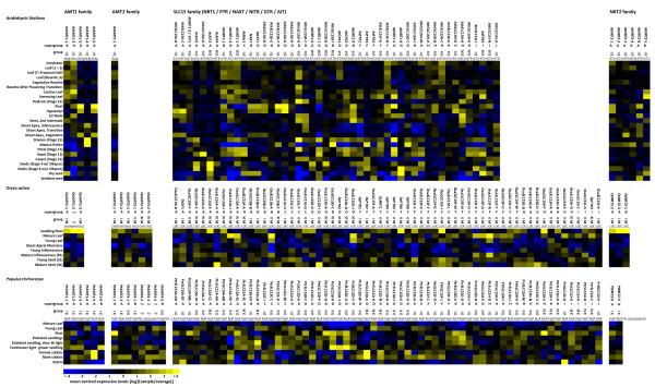 https://cdn.ncbi.nlm.nih.gov/pmc/blobs/6155/3922906/34597fb57c68/1471-2148-14-11-5.jpg