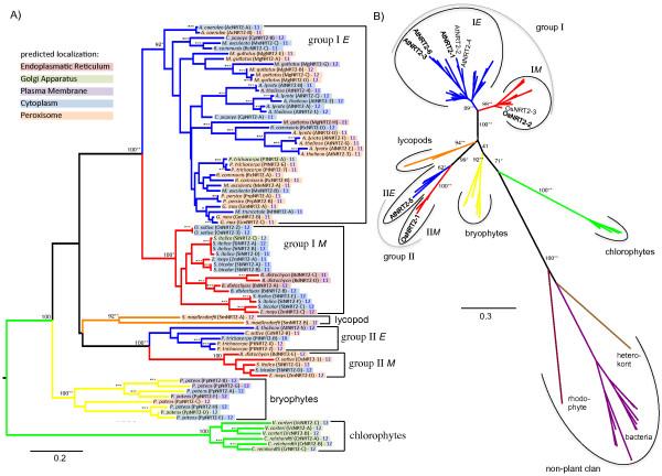 https://cdn.ncbi.nlm.nih.gov/pmc/blobs/6155/3922906/ff1126c801bd/1471-2148-14-11-2.jpg