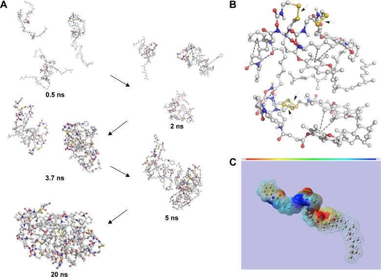 https://cdn.ncbi.nlm.nih.gov/pmc/blobs/615a/5113930/30a4911392ee/ijn-11-6003Fig4.jpg