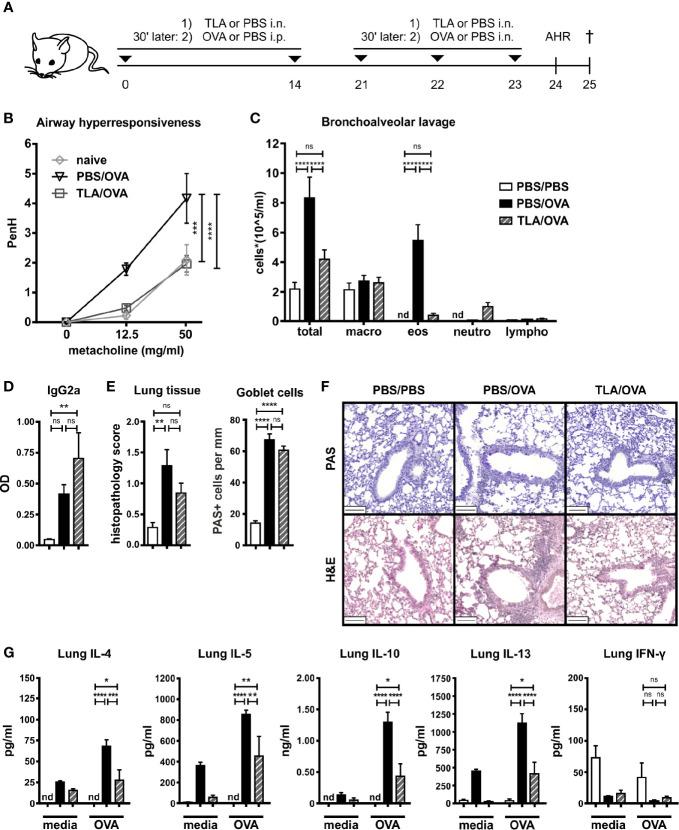 https://cdn.ncbi.nlm.nih.gov/pmc/blobs/615a/7988086/470424748fab/fimmu-11-612766-g002.jpg