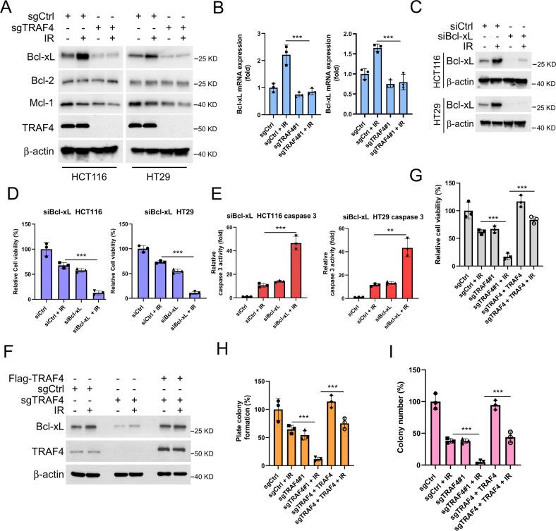 https://cdn.ncbi.nlm.nih.gov/pmc/blobs/615a/9918491/1fea26f0109c/41419_2023_5637_Fig3_HTML.jpg