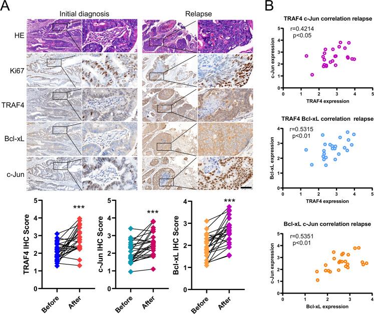 https://cdn.ncbi.nlm.nih.gov/pmc/blobs/615a/9918491/421db50fa761/41419_2023_5637_Fig7_HTML.jpg