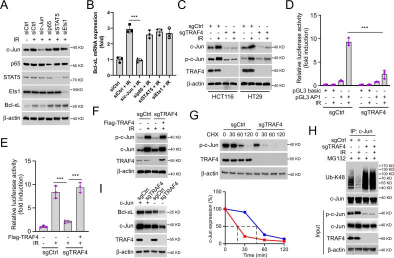 https://cdn.ncbi.nlm.nih.gov/pmc/blobs/615a/9918491/76baa70ca707/41419_2023_5637_Fig4_HTML.jpg