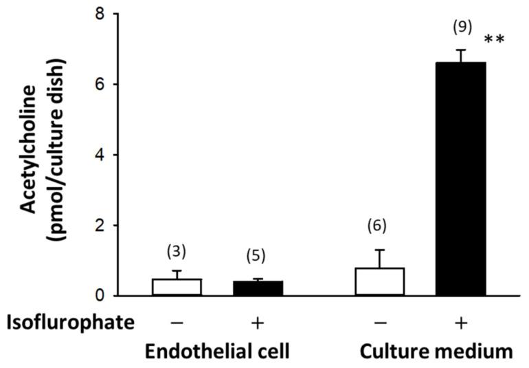 https://cdn.ncbi.nlm.nih.gov/pmc/blobs/615b/8268711/6d08aff5e1c4/ijms-22-06818-g001.jpg