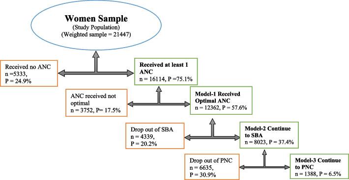 https://cdn.ncbi.nlm.nih.gov/pmc/blobs/615b/9847068/562491ec1248/12884_2023_5372_Fig2_HTML.jpg