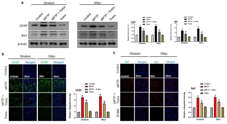 https://cdn.ncbi.nlm.nih.gov/pmc/blobs/615d/10298414/278c0273521e/ijms-24-09942-g005.jpg