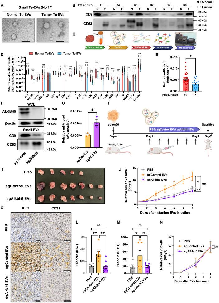 https://cdn.ncbi.nlm.nih.gov/pmc/blobs/615f/12053886/1a43c9989b64/JEV2-14-e70083-g007.jpg