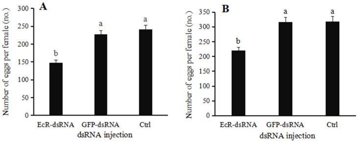 https://cdn.ncbi.nlm.nih.gov/pmc/blobs/6161/12193896/7a342c523e6c/insects-16-00643-g008.jpg