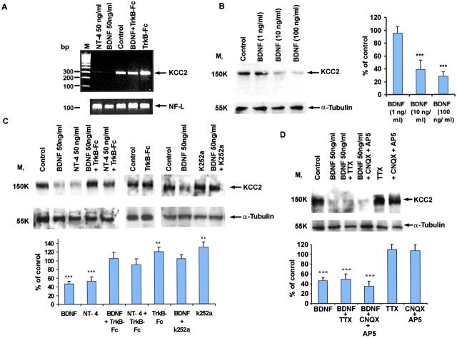 https://cdn.ncbi.nlm.nih.gov/pmc/blobs/6164/2173387/403d1cb0bc9e/200209011f1.jpg