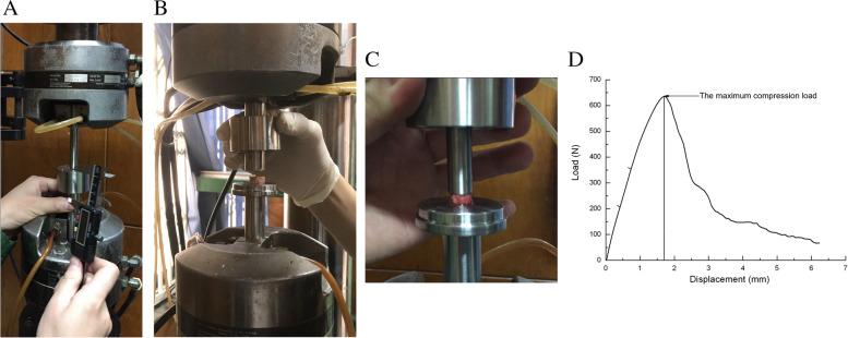 https://cdn.ncbi.nlm.nih.gov/pmc/blobs/6164/9123746/0226646195aa/12891_2022_5427_Fig1_HTML.jpg