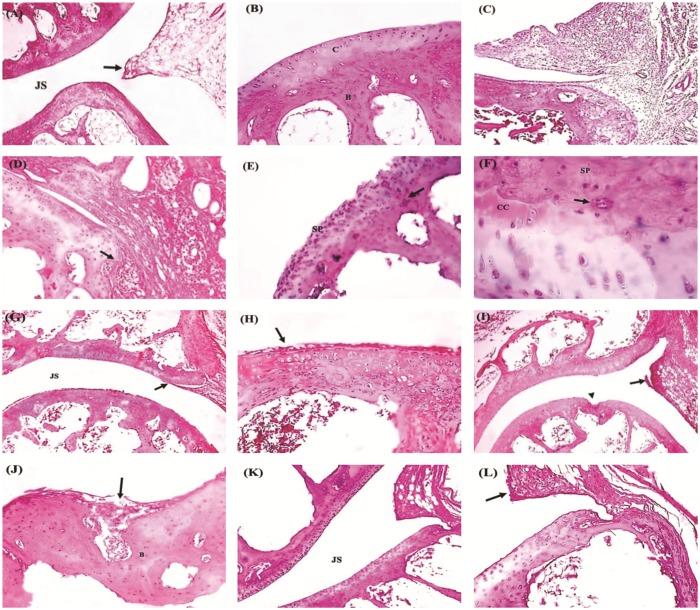 https://cdn.ncbi.nlm.nih.gov/pmc/blobs/6165/4390336/59dce4bb08e2/pone.0121523.g003.jpg