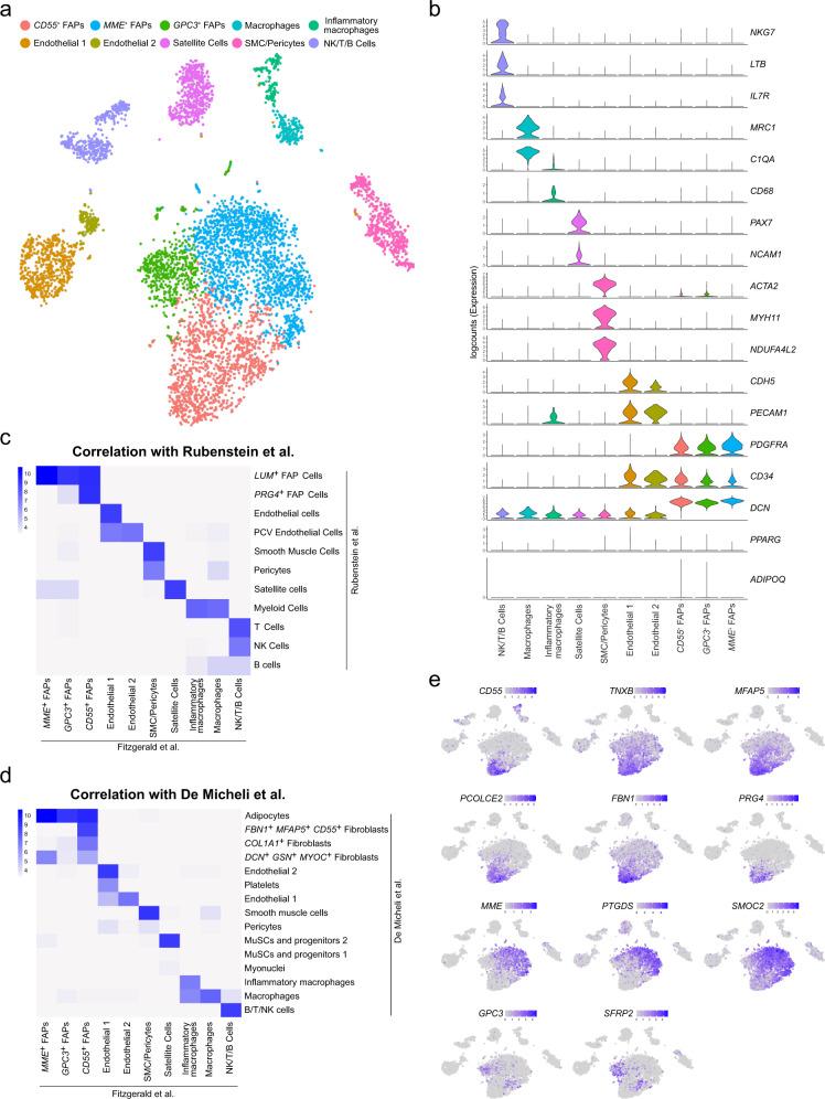 https://cdn.ncbi.nlm.nih.gov/pmc/blobs/6165/9883500/3d0bb2fa1b6b/42003_2023_4504_Fig2_HTML.jpg