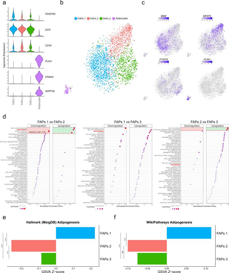https://cdn.ncbi.nlm.nih.gov/pmc/blobs/6165/9883500/b3fc052ea390/42003_2023_4504_Fig1_HTML.jpg