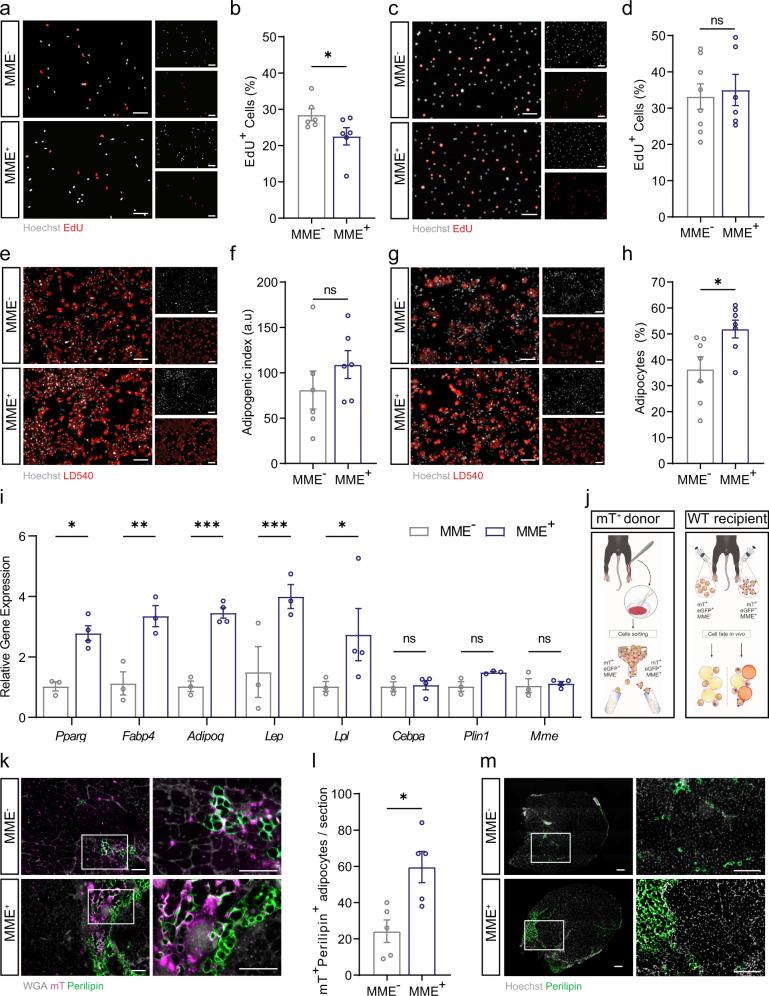 https://cdn.ncbi.nlm.nih.gov/pmc/blobs/6165/9883500/d182a62b285a/42003_2023_4504_Fig4_HTML.jpg
