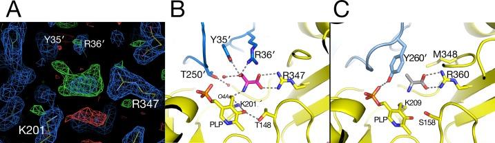 https://cdn.ncbi.nlm.nih.gov/pmc/blobs/6168/6797613/507d162fc7ba/fpls-10-01229-g005.jpg