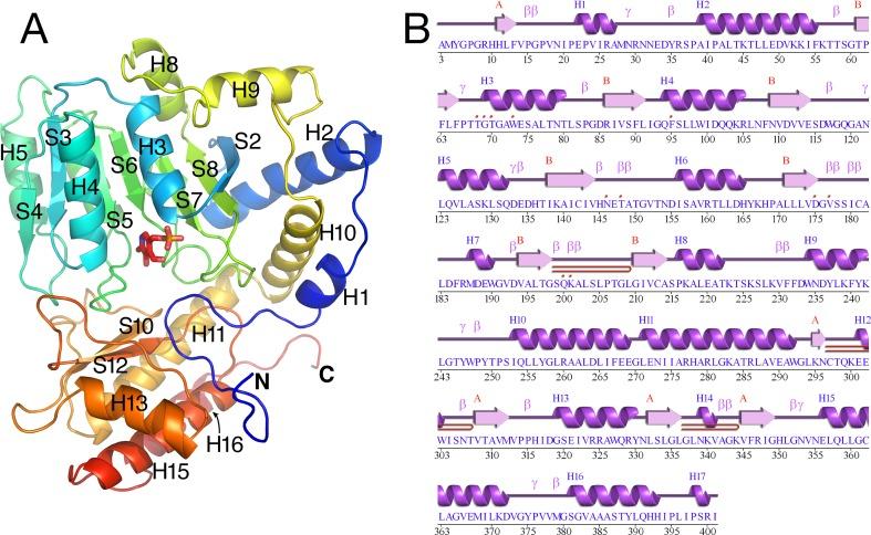 https://cdn.ncbi.nlm.nih.gov/pmc/blobs/6168/6797613/8ef171dcdf32/fpls-10-01229-g001.jpg