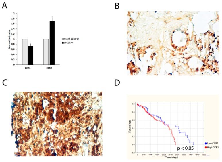 https://cdn.ncbi.nlm.nih.gov/pmc/blobs/6169/6387027/39c4b4f7869a/ijms-20-00686-g005.jpg