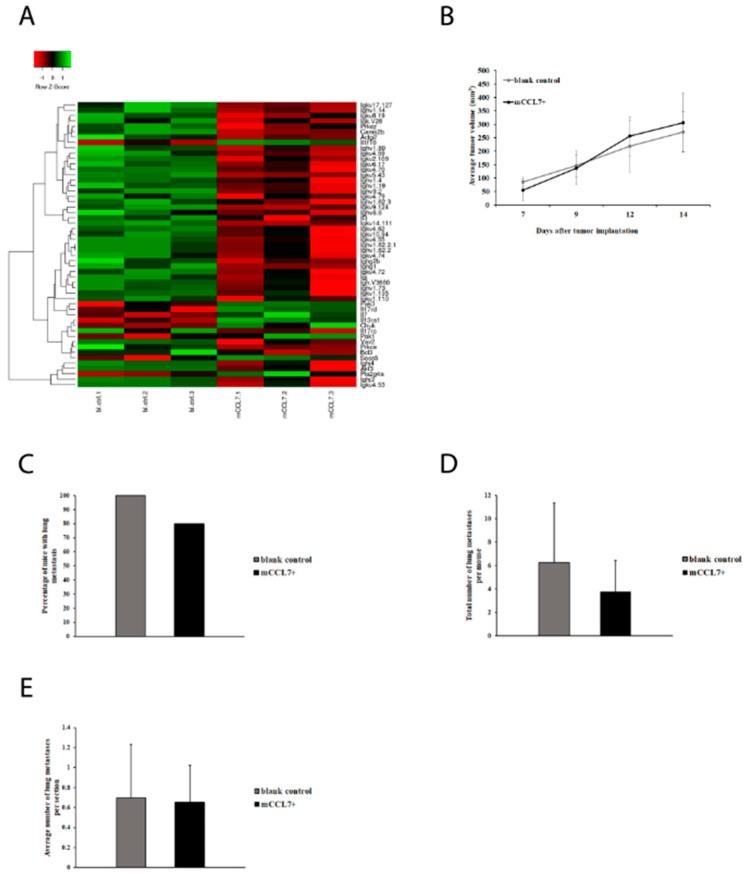 https://cdn.ncbi.nlm.nih.gov/pmc/blobs/6169/6387027/a2508ccdfd39/ijms-20-00686-g004.jpg