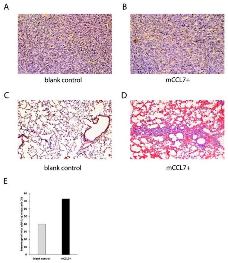 https://cdn.ncbi.nlm.nih.gov/pmc/blobs/6169/6387027/c537425f01b8/ijms-20-00686-g003.jpg
