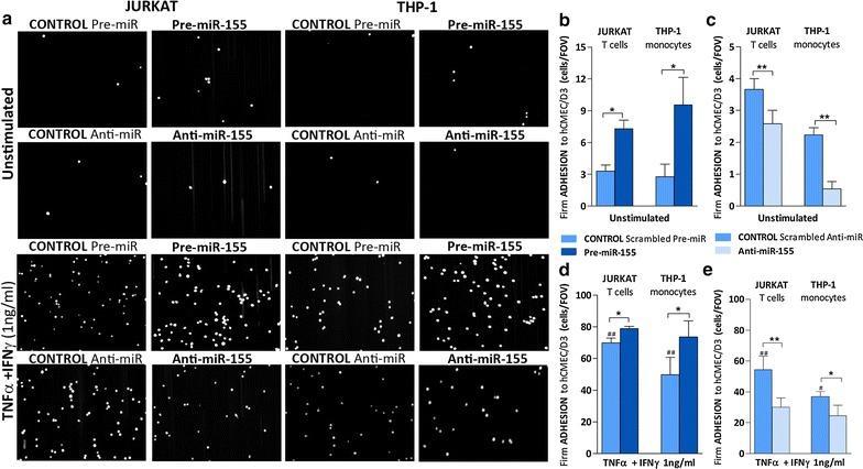 https://cdn.ncbi.nlm.nih.gov/pmc/blobs/616a/4888311/8b9cd49dd114/12987_2016_32_Fig1_HTML.jpg
