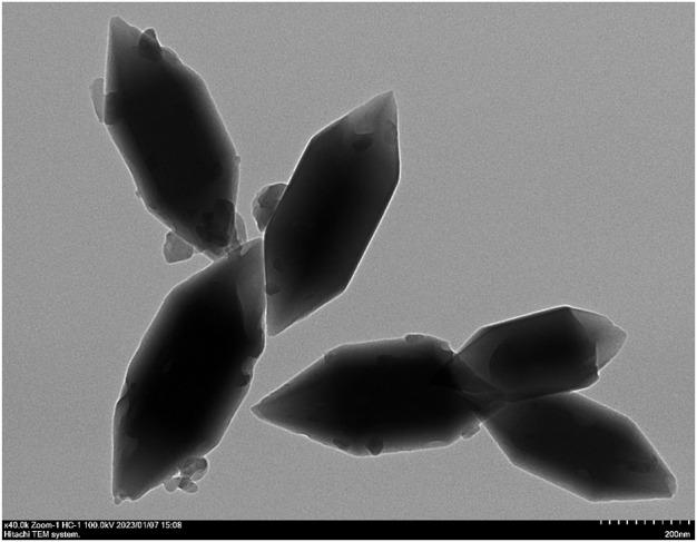 https://cdn.ncbi.nlm.nih.gov/pmc/blobs/616b/10267385/6290fa978d40/fbioe-11-1197484-g002.jpg