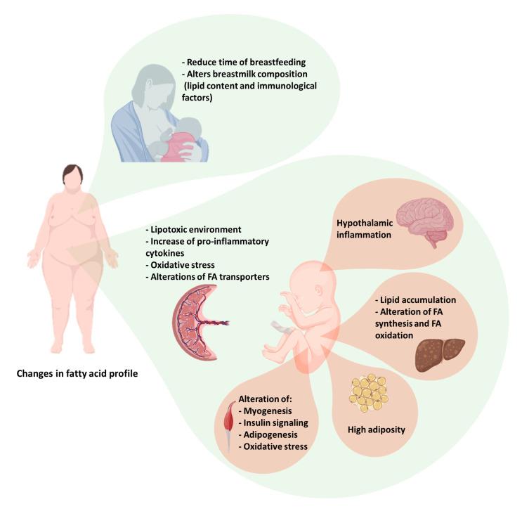 https://cdn.ncbi.nlm.nih.gov/pmc/blobs/616b/7822469/8853c31e083d/nutrients-13-00019-g001.jpg