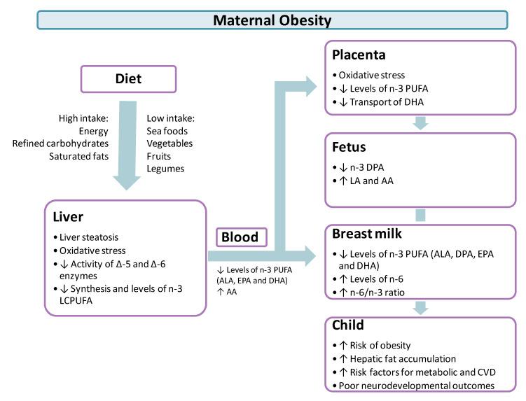 https://cdn.ncbi.nlm.nih.gov/pmc/blobs/616b/7822469/fb34c879115b/nutrients-13-00019-g002.jpg
