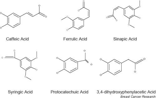 https://cdn.ncbi.nlm.nih.gov/pmc/blobs/616c/400651/58a6f8257238/bcr752-1.jpg