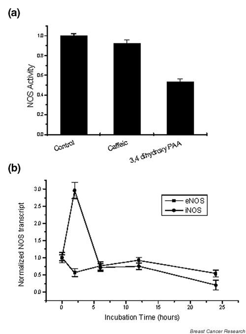 https://cdn.ncbi.nlm.nih.gov/pmc/blobs/616c/400651/92e38f1f1dbc/bcr752-5.jpg