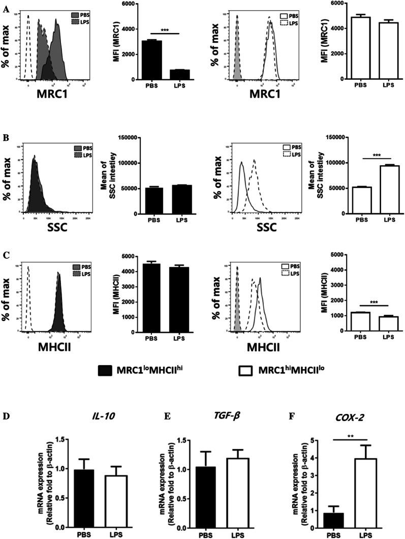 https://cdn.ncbi.nlm.nih.gov/pmc/blobs/616f/7251834/2a612d5a3fc0/13567_2020_795_Fig5_HTML.jpg