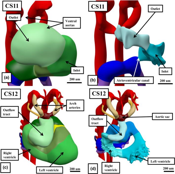 https://cdn.ncbi.nlm.nih.gov/pmc/blobs/6171/11424819/a567abe135b2/JOA-245-517-g008.jpg