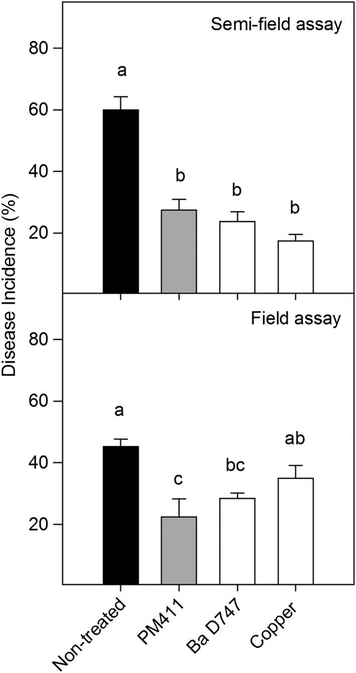 https://cdn.ncbi.nlm.nih.gov/pmc/blobs/6172/6334523/e60f3bbedea8/AAB-174-92-g005.jpg