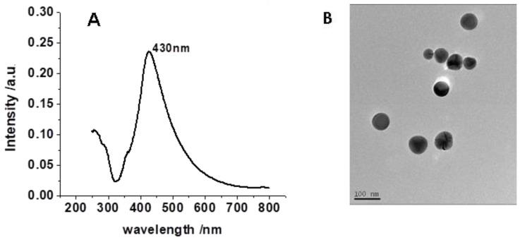 https://cdn.ncbi.nlm.nih.gov/pmc/blobs/6173/8708957/3b65e124a58e/nanomaterials-11-03250-g001.jpg